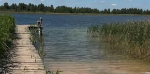 На Волині є прозоре озеро, де можна купатися голяка (відео)