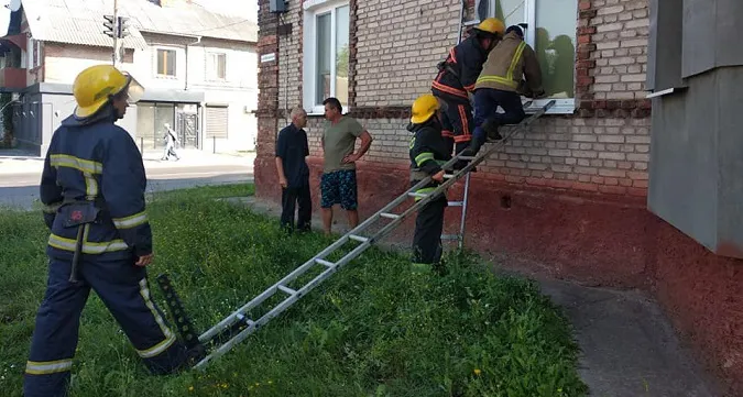 На Волині надзвичайники допомогли бабусі й знищили гніздо шершнів (фото)