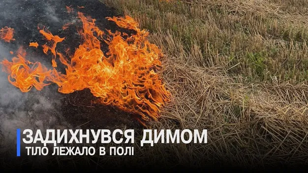 На Волині чоловік загинув, підпалюючи суху траву на полі (відео)