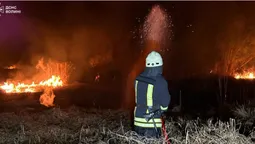 Суха трава, очерет і два торфовища: на Волині спалахнули 8 пожеж (фото)