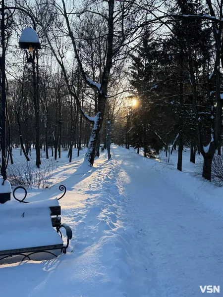 У Луцьку в центральному парку в мороз -17 °C бігав чоловік без одягу (фото, відео)