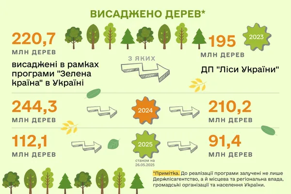Зелена країна: як Україна відновлює та оберігає ліси під час війни (фото)