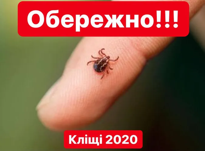 Наступ кліщів: чим загрожує укус та як вберегтися (відео)