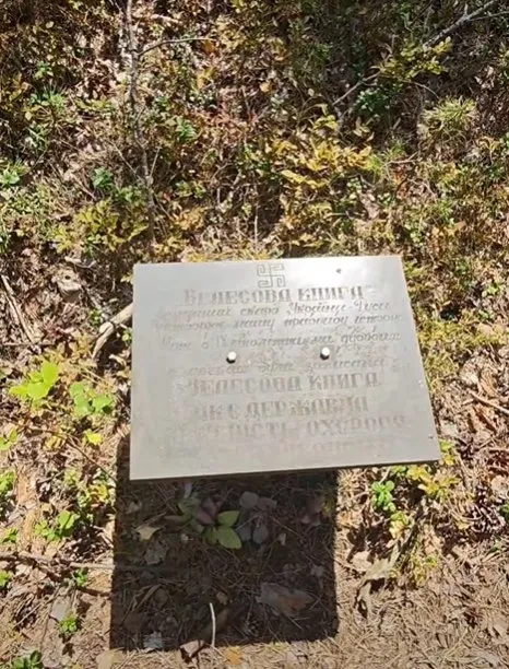 Повз зарослу «Кукушку» до таємничих озер: волинянка показала дикий рай Полісся (відео)