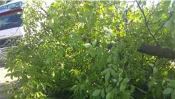 На Волині буревій наробив лиха (фото, відео)