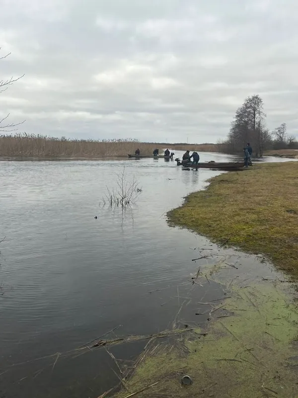 З квадрокоптерами та собаками: понад 250 людей шукають зниклу 17-річну волинянку (фото)