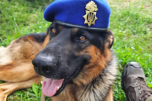 Гвардієць з Луцька і його пес візьмуть участь у параді в Києві (фото)
