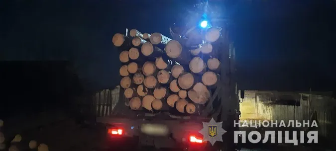 Біля Ківерців і в Старій Вижівці: поліцейські знайшли незаконно зрубані сосни (фото, відео)