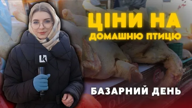 Кури, півні і качки: які ціни на птицю на базарі в Луцьку (відео)
