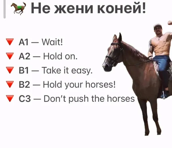 «Don't push the horses»: фраза Усика на пресконференції віруситься у соцмережах (меми)
