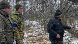 На Волині виявили самовільну рубку дерев: що чекає на порушників (фото)