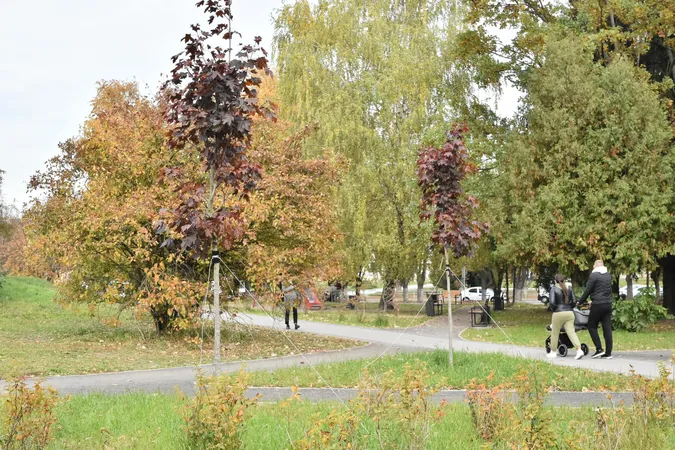 «Встановили лавки та висадили дерева»: у Луцьку завершують облаштування скверу (фото, відео)