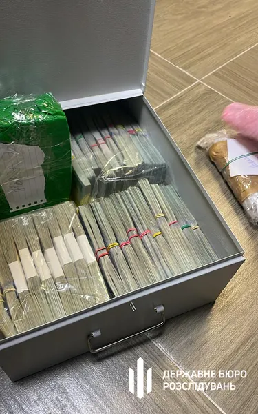 У депутатки Хмельницької міськради знайшли понад 1,5 млн незадекларованих доларів (фото)