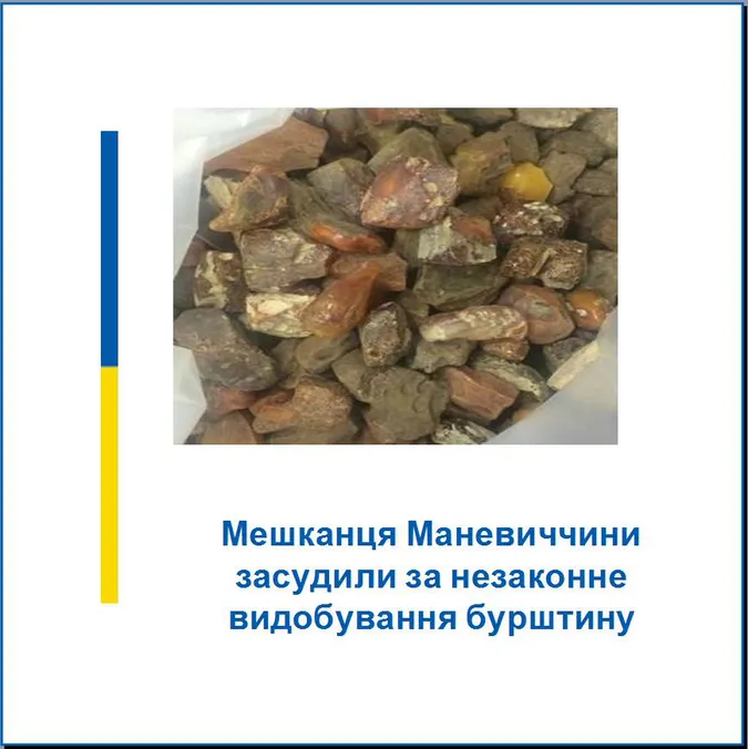 Волинянина засудили за незаконне видобування бурштину