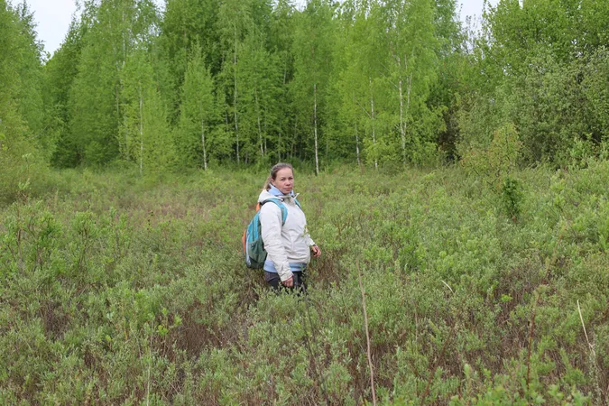 У нацпарку на Волині росте рідкісна папороть, якій тисячі років