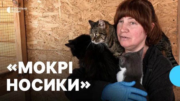 «Щоб їхнє життя стало кращим»: як у притулку «Мокрий носик» рятують безпритульних тваринок на Волині (фото, відео)