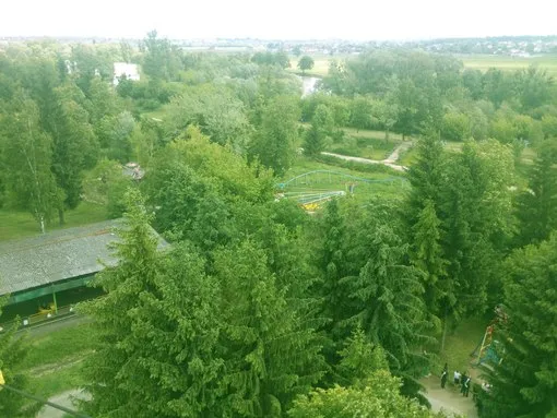 Територія, де вирубують дерева, не є парком, – Моклиця 