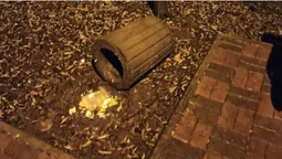 У луцькому парку поперевертали смітники (фото)