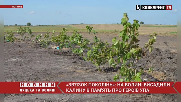 «Зв'язок поколінь»: на Волині висадили калину в пам'ять про Героїв УПА (фото, відео)