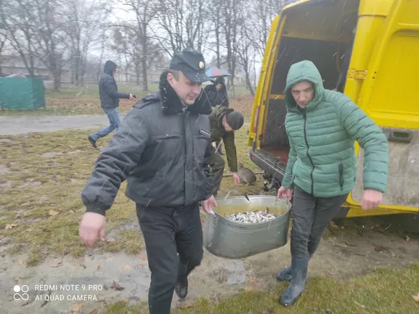 У Теремнівський ставок у Луцьку запустили майже тонну карасів (фото)