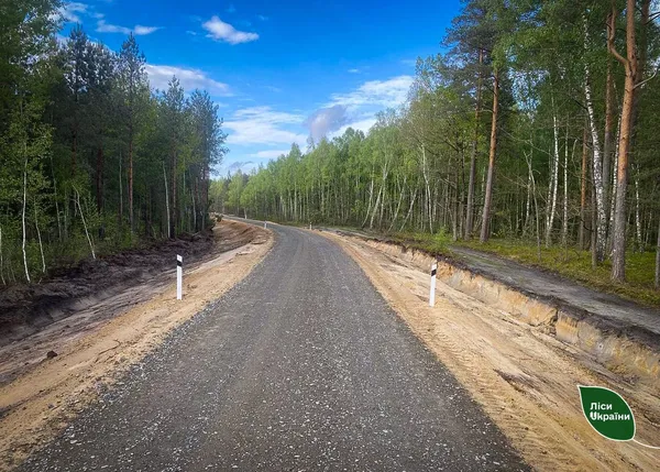 Волинь серед лідерів з будівництва лісових доріг (фото)