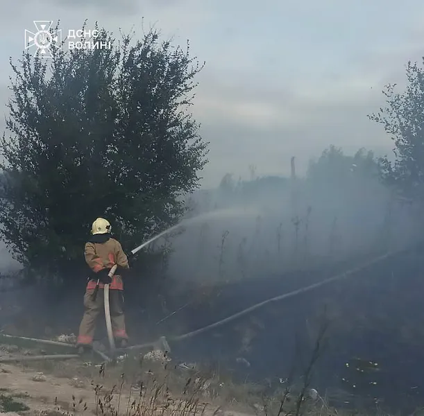 На Волині за добу ліквідували 4 пожежі: триває гасіння торфовищ (фото)