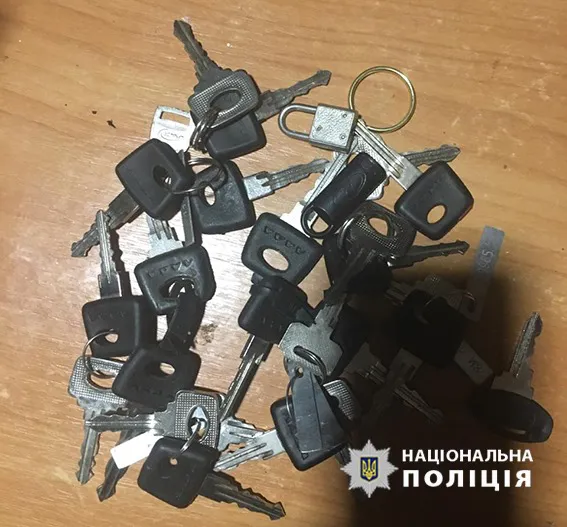Злочинна банда продавала на Волині крадені в Європі елітні авто (фото)