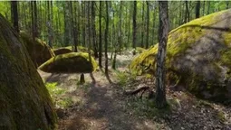 Люди стали валунами: у лісах Полісся ховається містичне місце, де є камінь зі слідом Божої стопи (фото)