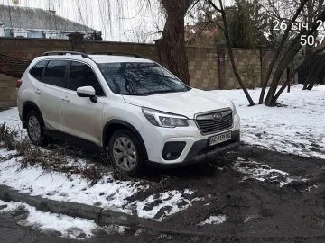 Муніципали у Луцьку «вполювали» автохамів на зелених зонах (фото, відео)