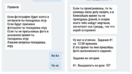 «Сині кити» у Луцьку: вся правда у масштабному розслідуванні  (фото, скріни)
