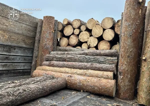 На Волині лісівники, працівник ДСНС та підприємці накрали лісу на 6,4 мільйона (фото)