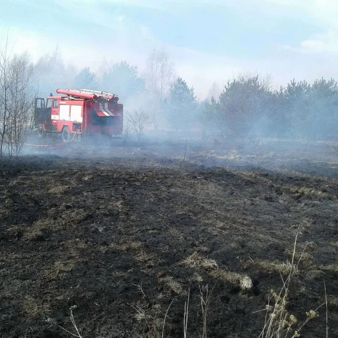 На Волині знову горіли чагарники: за добу – п’ять пожеж (фото)
