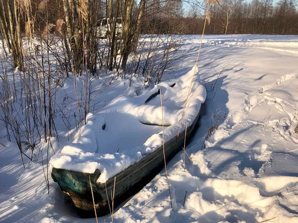Досі чути церковні дзвони з-під льоду: таємниця покинутого хутора на Волині (фото)