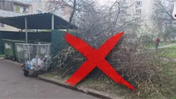 У Луцьку покарали жінку через гілля біля смітників (фото)