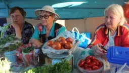 Податкова взялася за городи: кому за продаж яблук, картоплі й огірків загрожує штраф