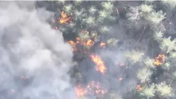 Волинські тероборонівці показали, як палять ворожу техніку (відео)