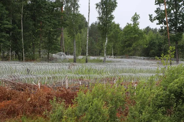 На кордоні Волині з білоруссю посилюють оборону: встановлюють «Єгозу» та облаштовують укріплення (фото)