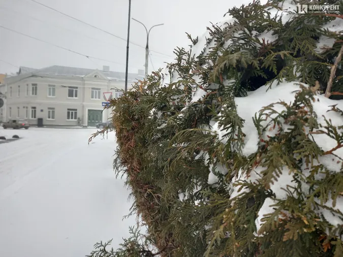 Люті зими повертаються: Луцьк замело снігом (фото)