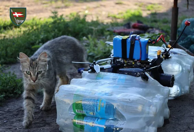 «Князівські» воїни показали свого котовоїна (фото)