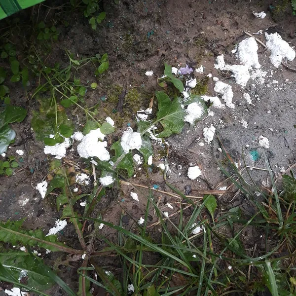 «Здирали, не шкодуючи нігтів», – у Луцьку рятували око Мавки від фалосів (фото)