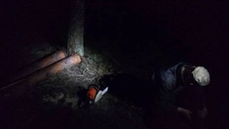 На Волині в рекреаційному пункті  упіймали чоловіка з бензопилою