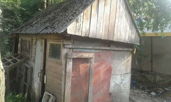 У центрі міста лучани тримали свиней, кролів і курей (фото)