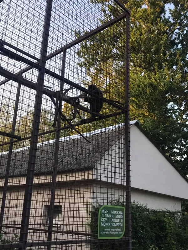 Показали «стресуючих» тварин у луцькому зоопарку під час концерту (фото)