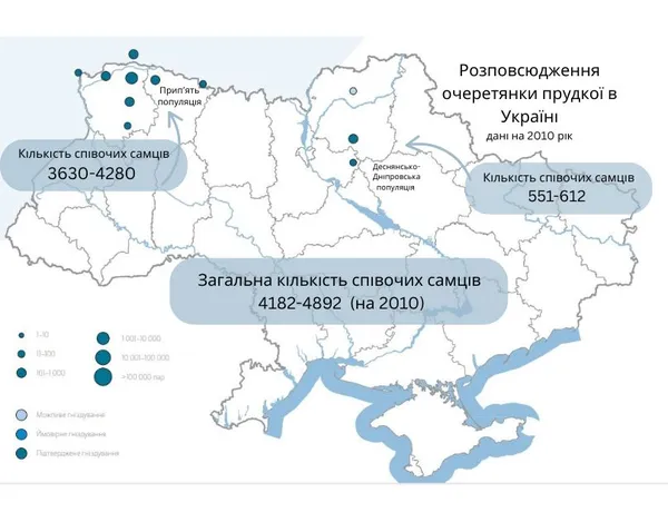 На межі повного зникнення: в нацпарку на Волині гніздиться дуже рідкісний птах