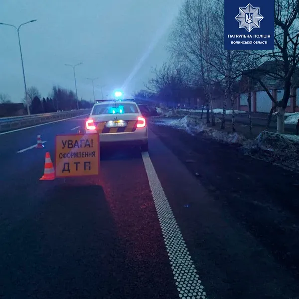 Заснув за кермом: у Піддубцях авто влетіло в дерево (фото)