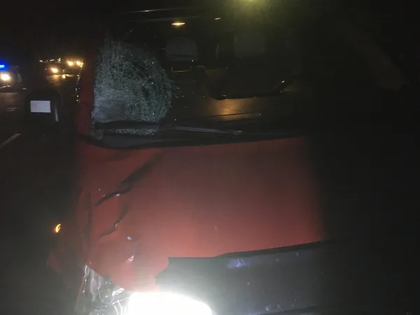 На трасі Київ-Ковель-Ягодин авто на переході збило жінку (фото)