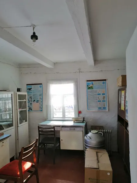 Неподалік Луцька продають недорогу ветлікарню (фото)