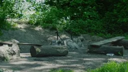 Що не так із Сапалаївкою: лучани назвали головні проблеми біля річки (фото)
