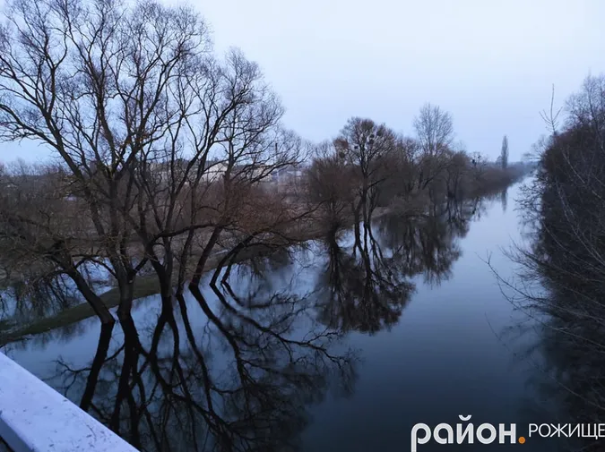 У Рожищі Стир вийшов із берегів: вона сягає стовбурів найближчих дерев (фото)