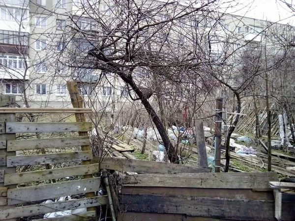 Кошмари на вулиці Рівненській: у Луцьку мішками рубають курей (фото)